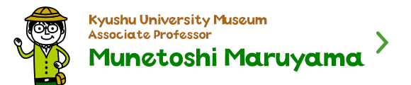 Kyushu University Museum Associate Professor Munetoshi Maruyama