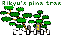 Rikyu's pine tree