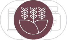 Environment and food icon