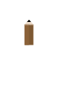 Undergraduate Schools