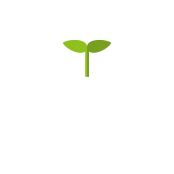 教育