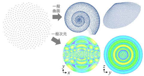 黄金比・黄金角による点群生成機構の解明・一般化～植物の形態モデリングに関わる数学の未解決問題を解決～