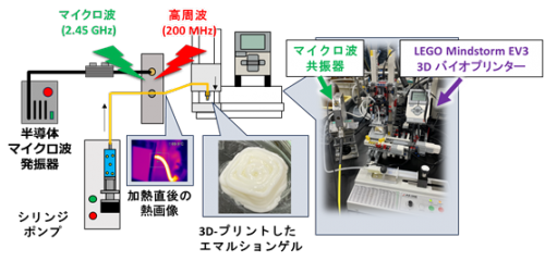 マイクロ波と高周波を用いた3Dバイオプリンターの開発 ～嚥下食の食感や見た目をデザイン～