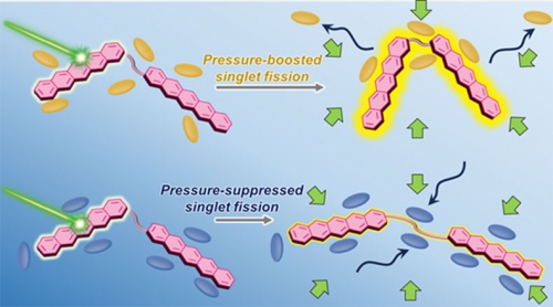 圧力で光励起状態分子の分裂を操る！柔らかな分子で拓く次世代エネルギー変換材料～静水圧によって一重項分裂を自在に制御するソフトマテリアルの新設計指針を提案～