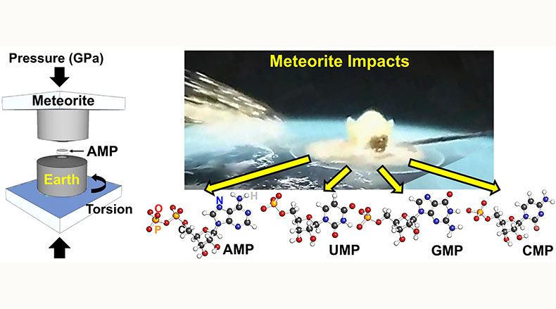 隕石衝突の極限状態を「高圧ねじり」手法によって再現～生命誕生の謎を解くRNA前生物化学への示唆～