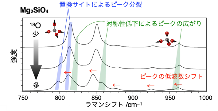 同位体によるラマンスペクトル変化の起源を体系的に解明 ―フォルステライトの酸素同位体効果を第一原理計算で明らかに―