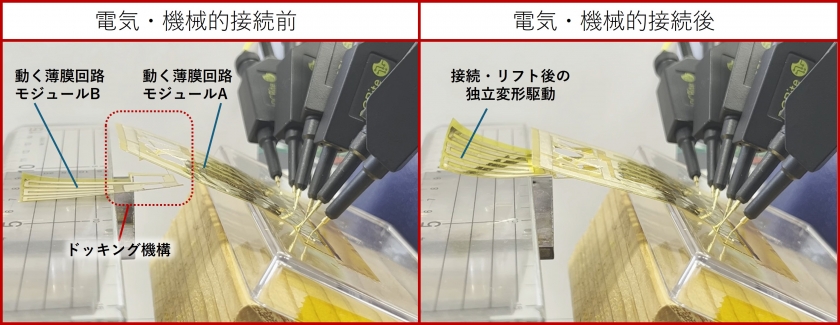 電子回路が自ら動き、つながり、外れる技術を開発 ー薄膜電子デバイスの自律的な組み替えを可能にするドッキング機構ー