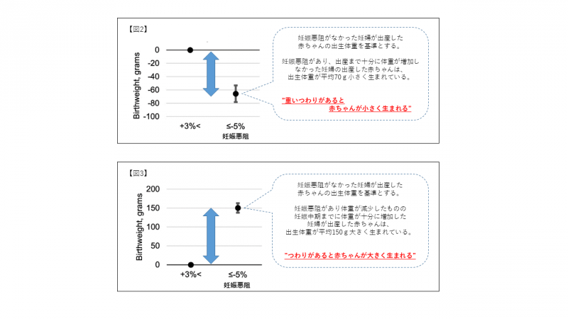 つわりがあると赤ちゃんは大きく生まれるのに 重いつわり 妊娠悪阻 では赤ちゃんが小さく生まれる の謎を解明 研究成果 九州大学 Kyushu University