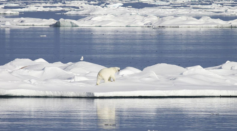 Clouding the forecast: study reveals why so many climate models are wrong about the rate of Arctic warming