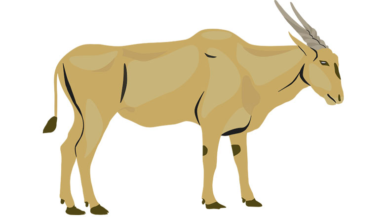 Invisible eland identified from 60,000-year-old ochre-rich sediment