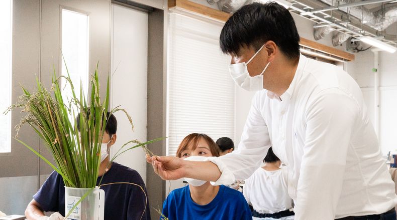 Yushi Ishibashi and students checking grain samples