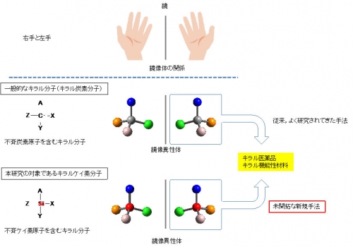機能性色素の科学: 色素の基本から合成・反応,実際の応用まで