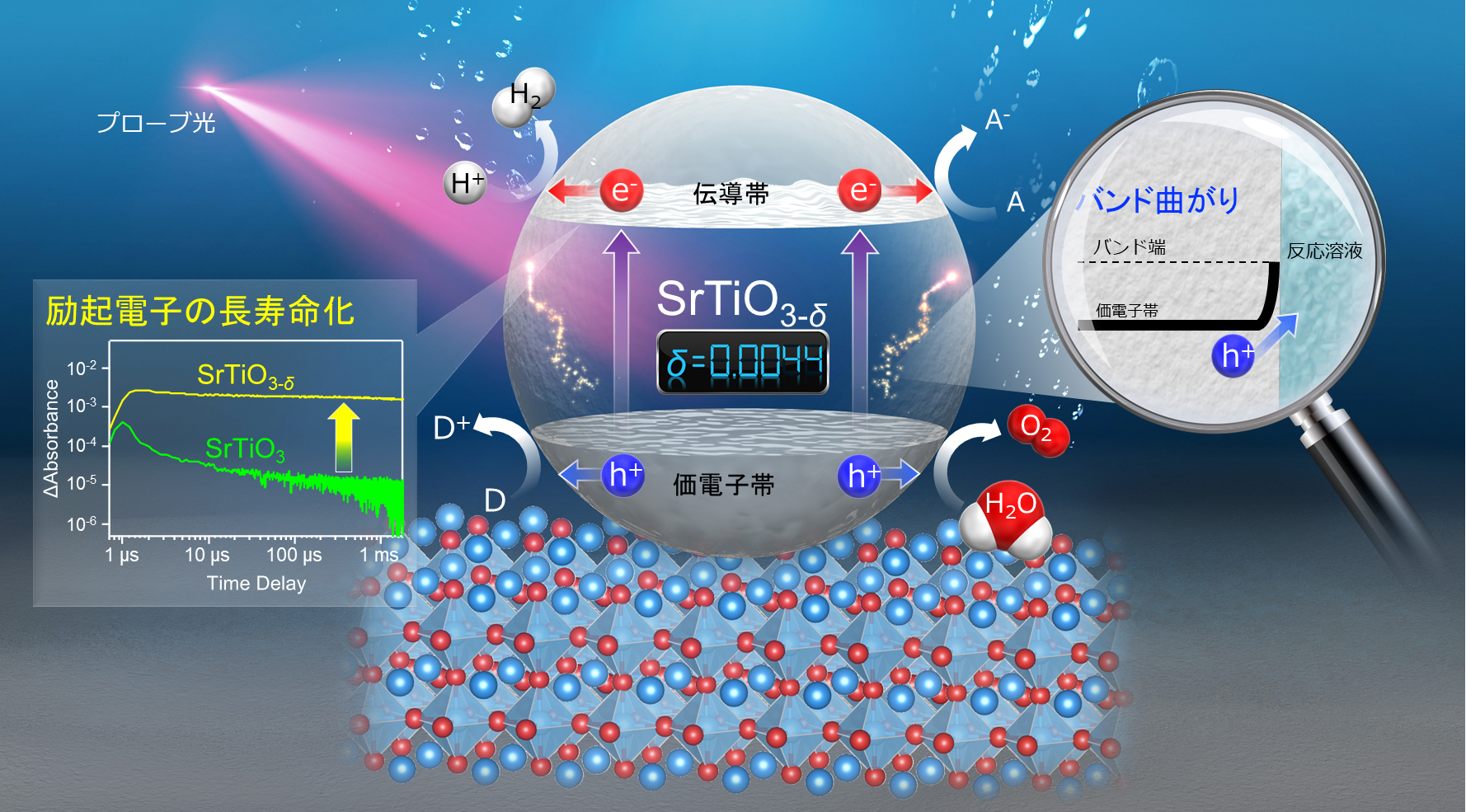 結び合う命の力 水と珪素と氣 コロイダル領域論 結び合う命の力 水と珪素と氣―コロイダル領域論 大型本 – | 中島