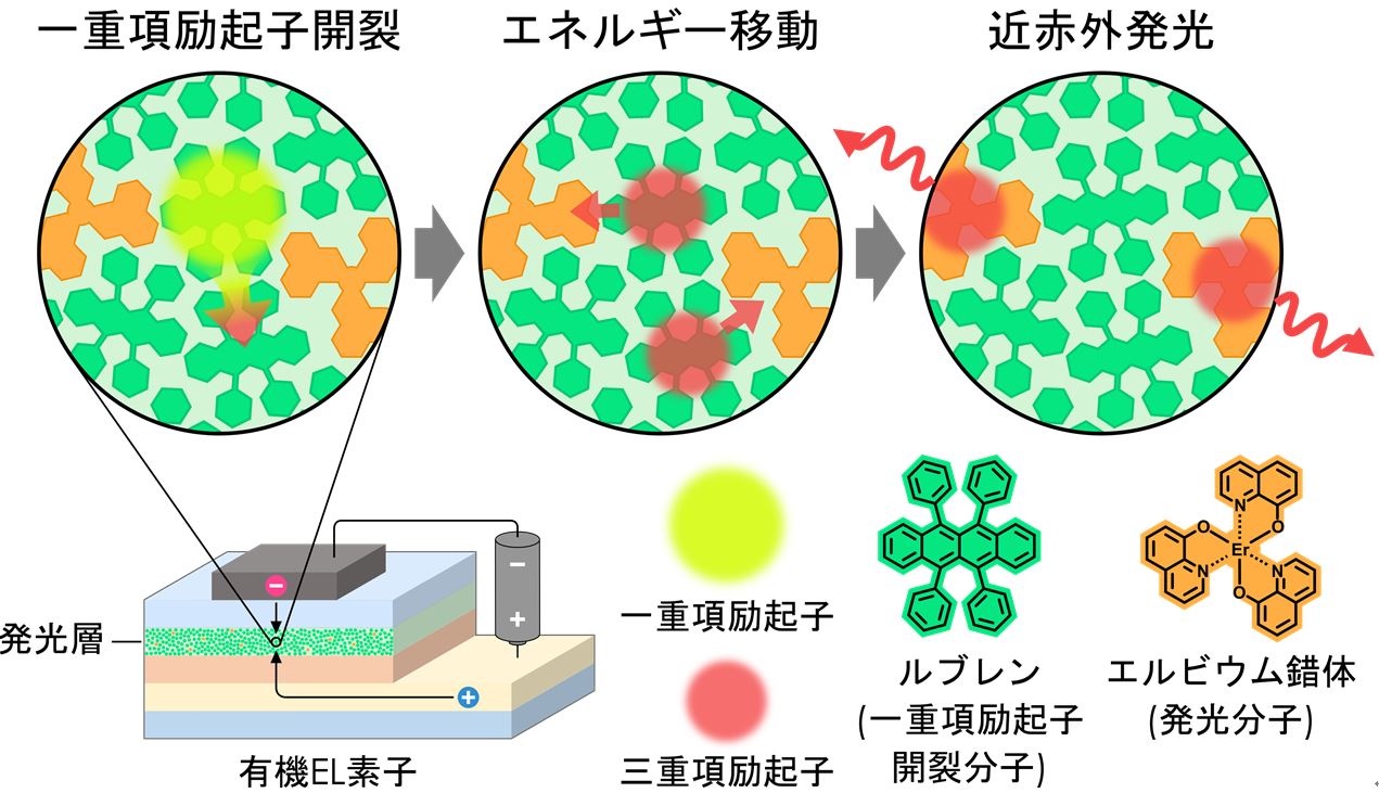 励起子生成効率100％以上を実現するOLEDの原理実証に成功 〜高