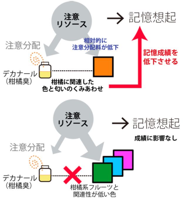 柑橘系の匂いをかぐとオレンジ色が覚えにくくなることを発見 安易な香り付けは逆効果になる可能性を示唆 研究成果 九州大学 Kyushu University