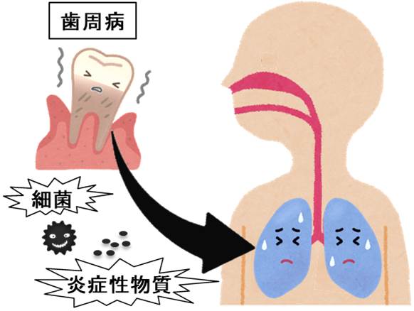 口腔・咽頭疾患,歯牙関連疾患を診る 口腔・咽頭疾患,歯牙関連疾患を診る (ENT臨床フロンティア