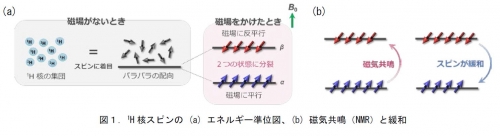 ナノ多孔性材料を室温で高核偏極化することに世界で初めて成功