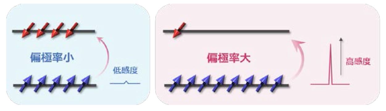 ナノ多孔性材料を室温で高核偏極化することに世界で初めて成功