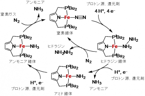 Images of ヒドラジン JapaneseClass.jp