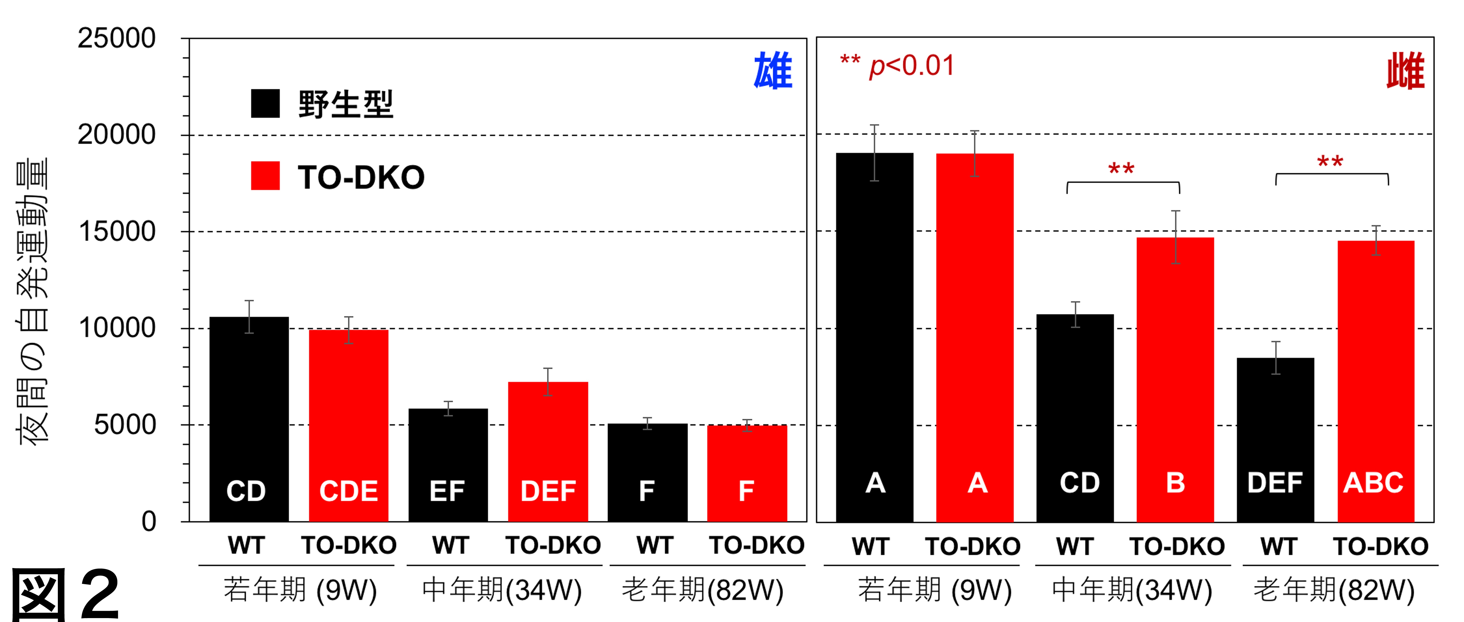 マウスの行動の性差は活性酸素による酸化ヌクレオチドの蓄積が原因である 男女それぞれの特性に注目した病気の予防や治療法の開発に期待 研究成果 九州大学 Kyushu University