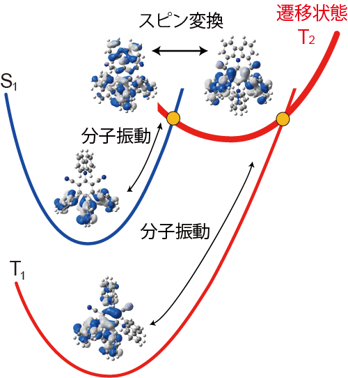 有機分子のスピン変換遷移状態を解明 ～分子デザインによる自由