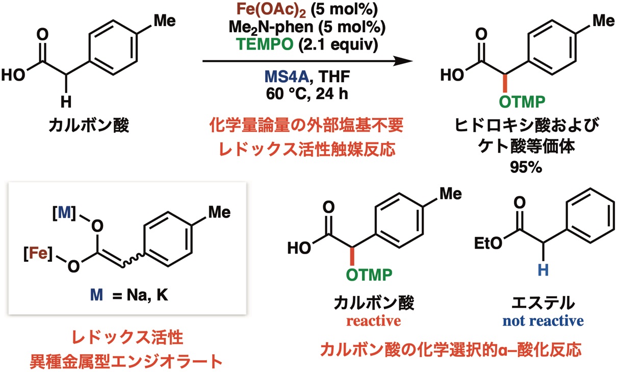 カルボキシき (カルボキシき) JapaneseEnglish Dictionary JapaneseClass.jp