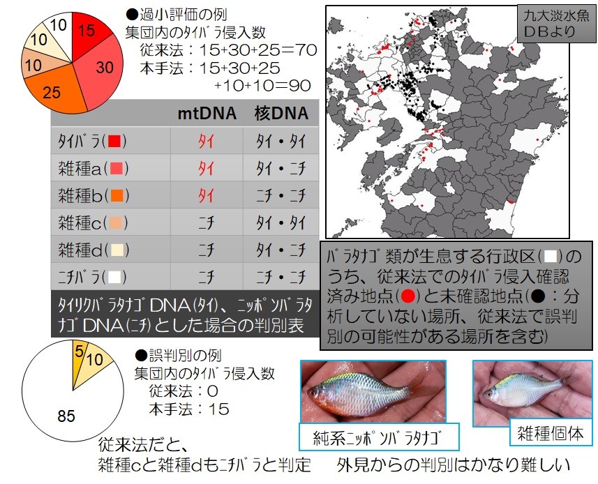 ダニ・カラヴァン「大地との共鳴/環境との対話」（大型本） ウェブで読める大人の音楽誌「otonano」4月1日創刊！創刊号は