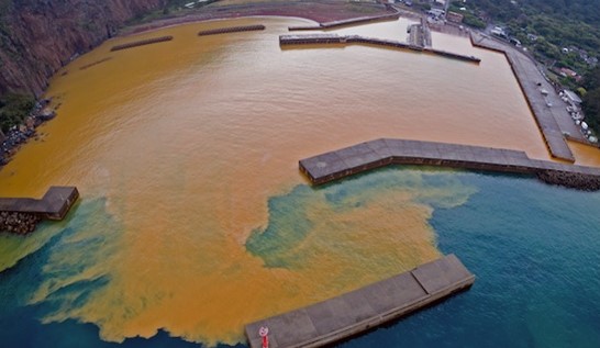 硫黄島 南硫黄島 Minami-Iwo-tō (or Minami-iwo-jima) 北緯25度26分から
