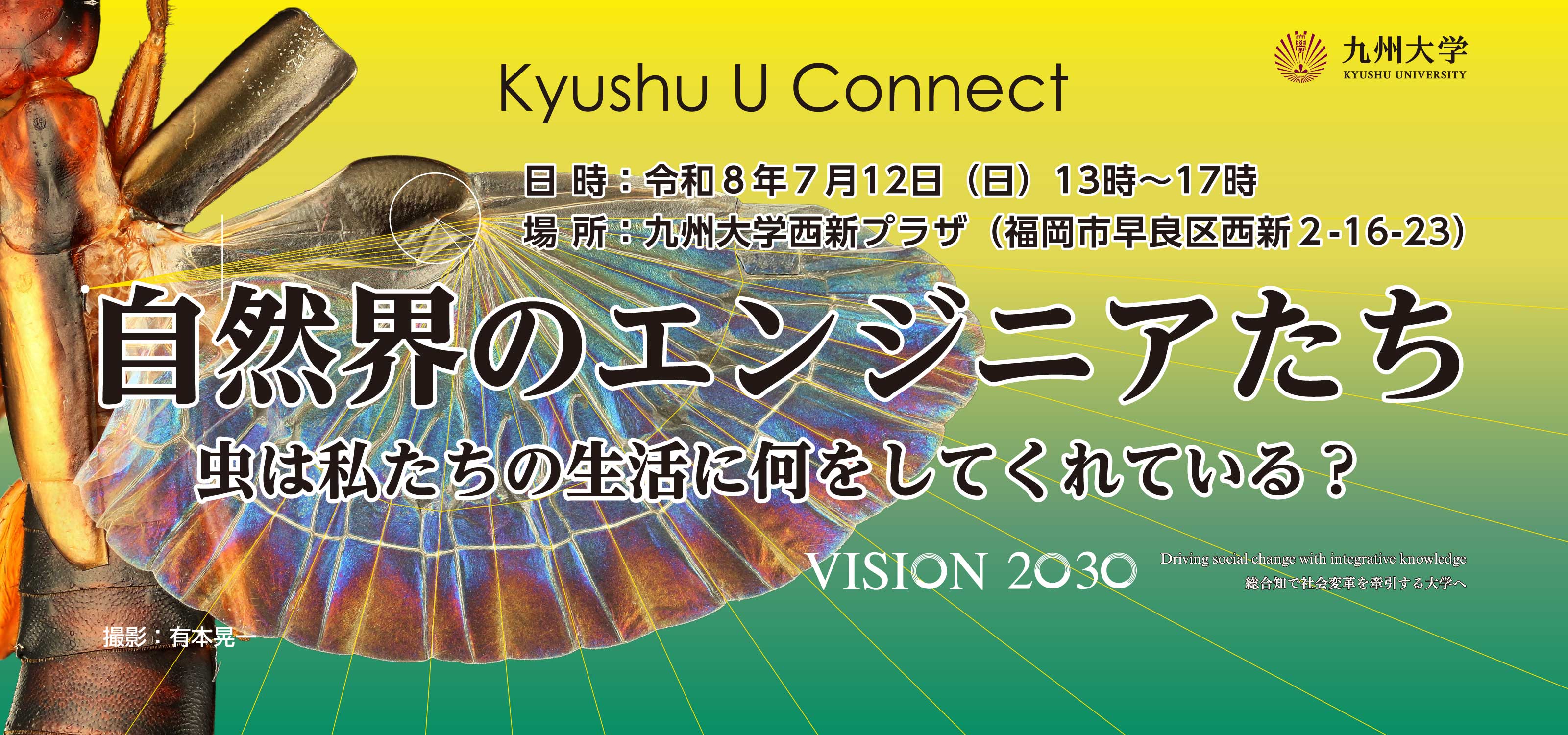 九州大学（KYUSHU UNIVERSITY）