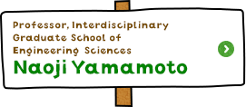 Professor, Interdisciplinary Graduate School of Engineering Sciences Naoji Yamamoto
