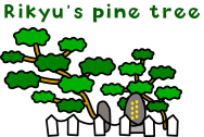 Rikyu's pine tree
