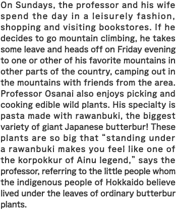 On Sundays, the professor and his wife spend the day in a leisurely fashion, shopping and visiting bookstores. If he decides to go mountain climbing, he takes some leave and heads off on Friday evening to one or other of his favorite mountains in other parts of the country, camping out in the mountains with friends from the area. Professor Osanai also enjoys picking and cooking edible wild plants. His specialty is pasta made with rawanbuki, the biggest variety of giant Japanese butterbur! These plants are so big that “standing under a rawanbuki makes you feel like one of the korpokkur of Ainu legend,” says the professor, referring to the little people whom the indigenous people of Hokkaido believe lived under the leaves of ordinary butterbur plants.