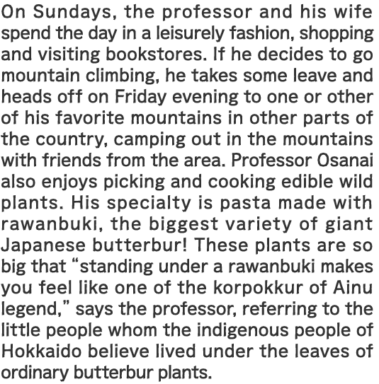 On Sundays, the professor and his wife spend the day in a leisurely fashion, shopping and visiting bookstores. If he decides to go mountain climbing, he takes some leave and heads off on Friday evening to one or other of his favorite mountains in other parts of the country, camping out in the mountains with friends from the area. Professor Osanai also enjoys picking and cooking edible wild plants. His specialty is pasta made with rawanbuki, the biggest variety of giant Japanese butterbur! These plants are so big that "standing under a rawanbuki makes you feel like one of the korpokkur of Ainu legend," says the professor, referring to the little people whom the indigenous people of Hokkaido believe lived under the leaves of ordinary butterbur plants.