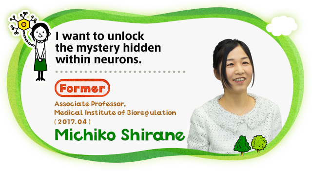 I want to unlock the mystery hidden within neurons.Associate Professor, Medical Institute of Bioregulation ( 2017.04 ) Michiko Shirane 