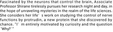 Fascinated by the neurons that control the brain, Associate Professor Shirane tirelessly pursues her research night and day, in the hope of unraveling mysteries in the realm of the life sciences. She considers her life’s work on studying the control of nerve functions by protrudin, a new protein that she discovered by chance. “I’m entirely motivated by curiosity and the question ‘Why?’” 