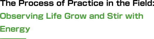 The Process of Practice in the Field: Observing Life Grow and Stir with Energy