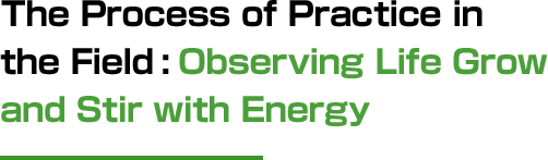 The Process of Practice in the Field: Observing Life Grow and Stir with Energy