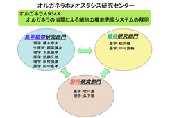 写真（画像をクリックすると別ウィンドウで大きく表示されます）