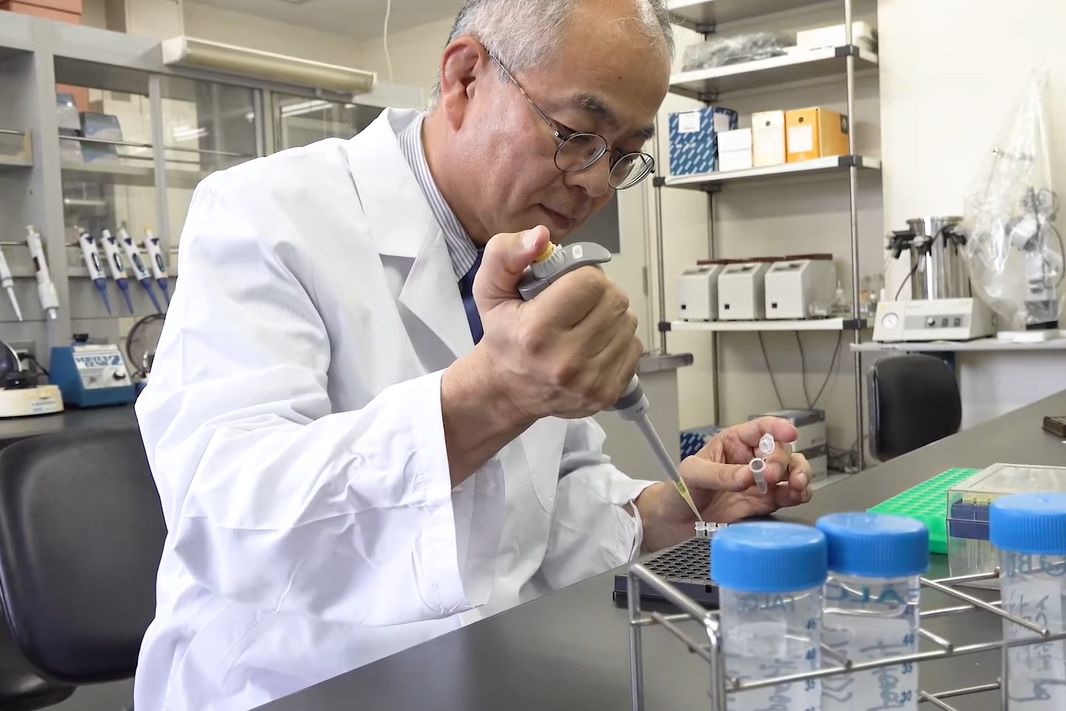 Yoshihisa Yamashita in the lab