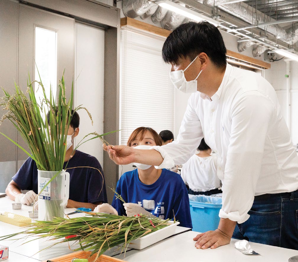 Yushi Ishibashi and students checking grain samples