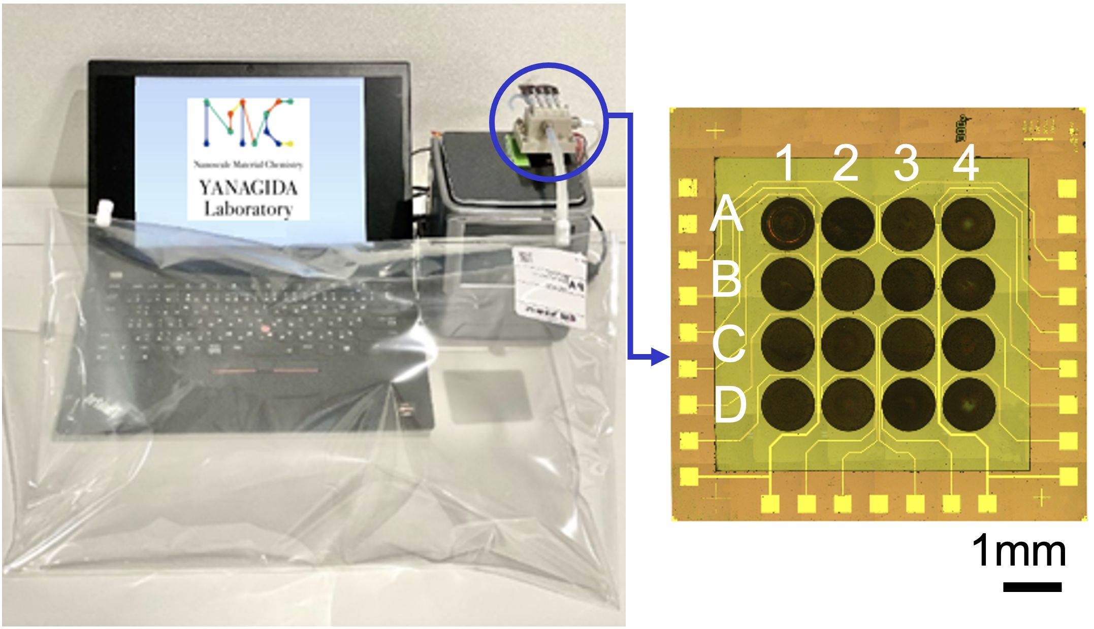 System for biometric authetication using human breath