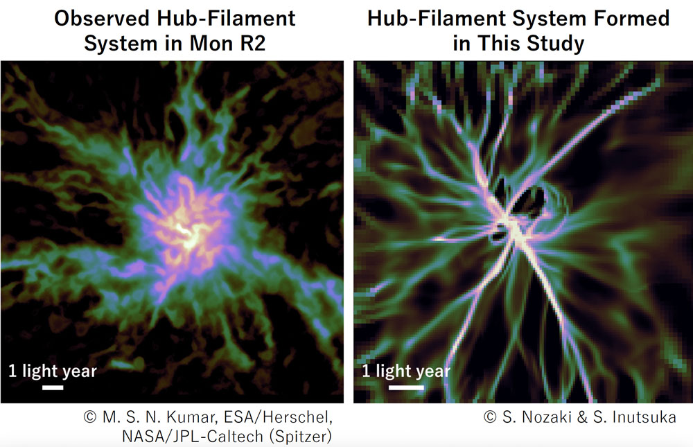 Observed hub-filament system compared with simulation results
