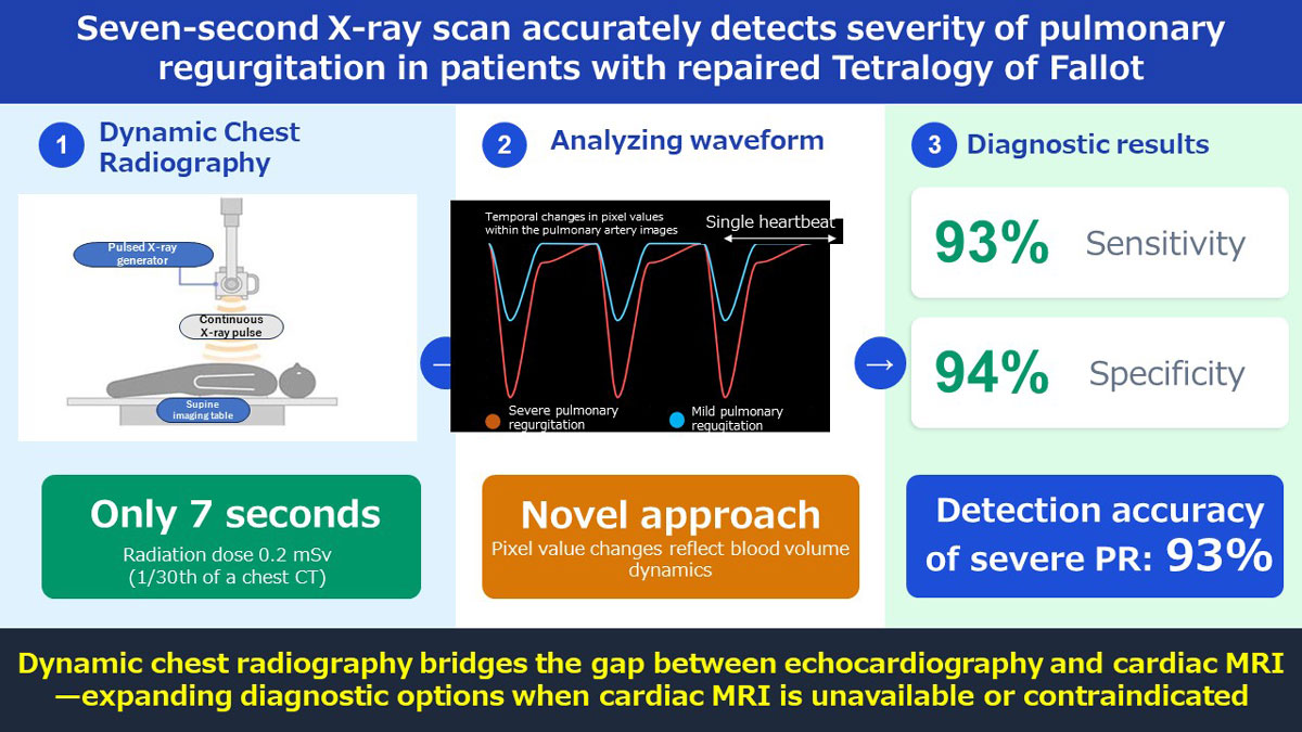 Graphical abstract of the research