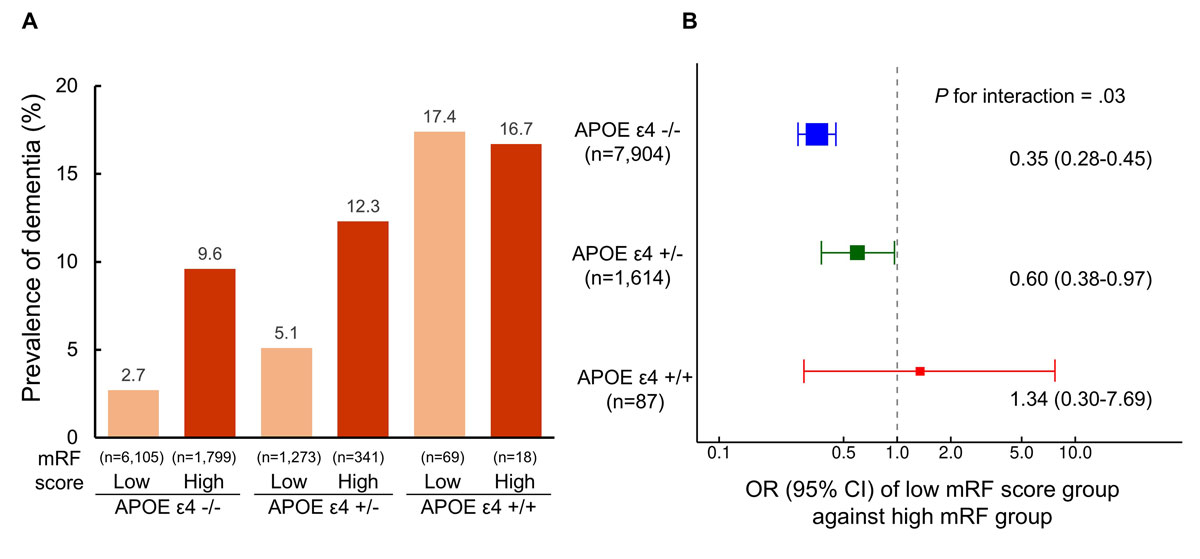  Associations between modifiable risk score groups and dementia risk across apolipoprotein E ε4 genotypes