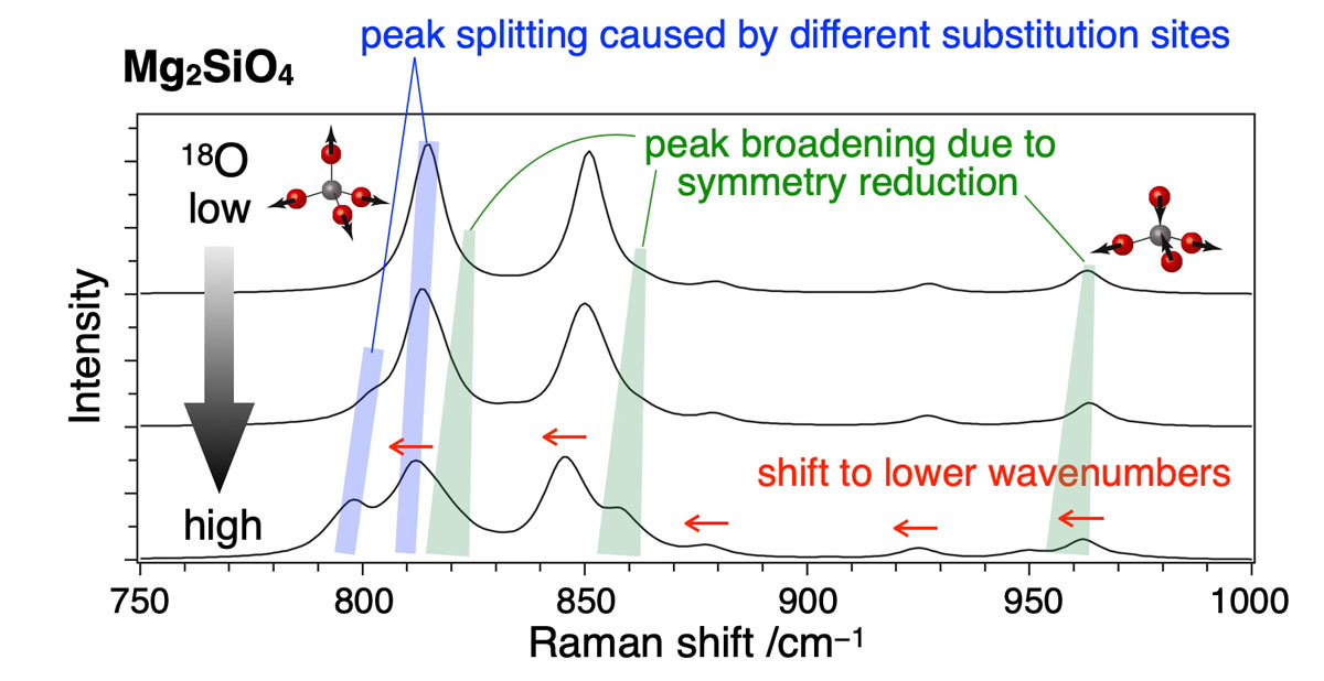 Schematic diagram of changes in the Raman spectrum due to isotope substitution