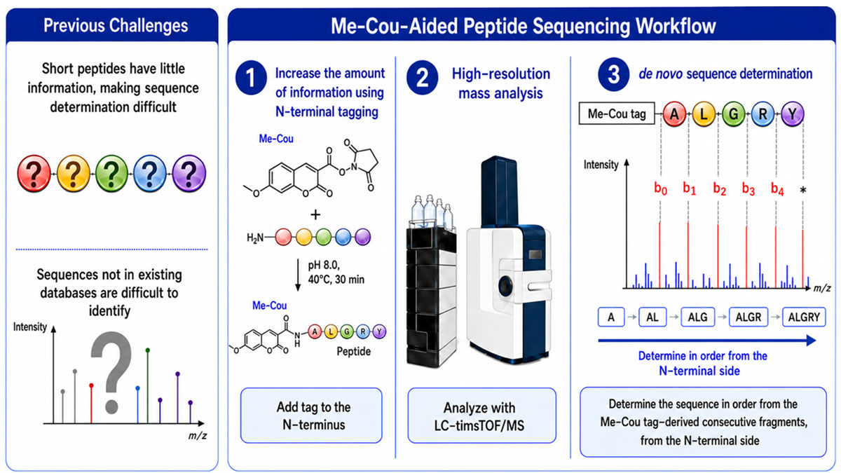 Proposed coumarin-based tag-aided peptide sequencing workflow
