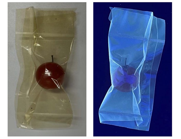 Biodegradable film with carbon quantum dots fluoresces under UV light 