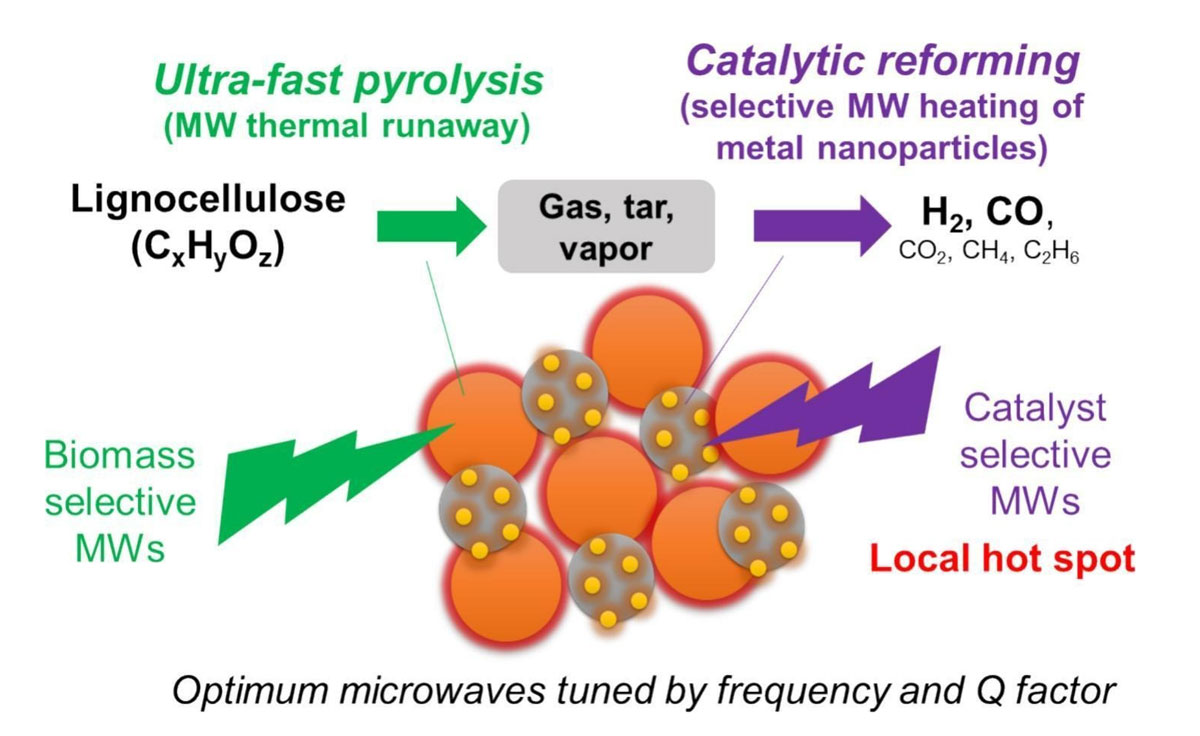 Detailed mechanisms underlying microwave-assisted biomass conversion