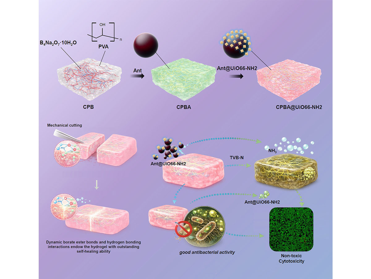  FIG.1 Conceptual illustration of a self-healing smart hydrogel