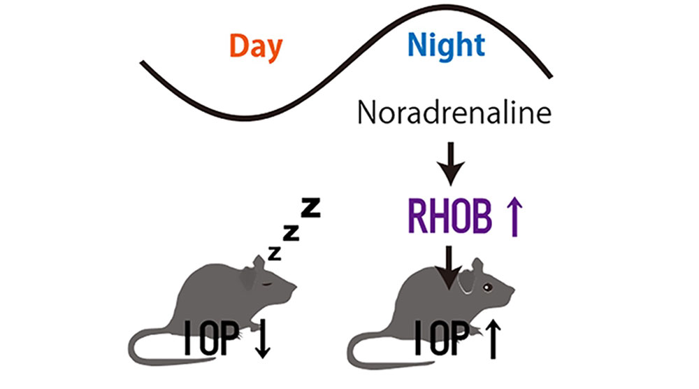 Graphical abstract of the research results
